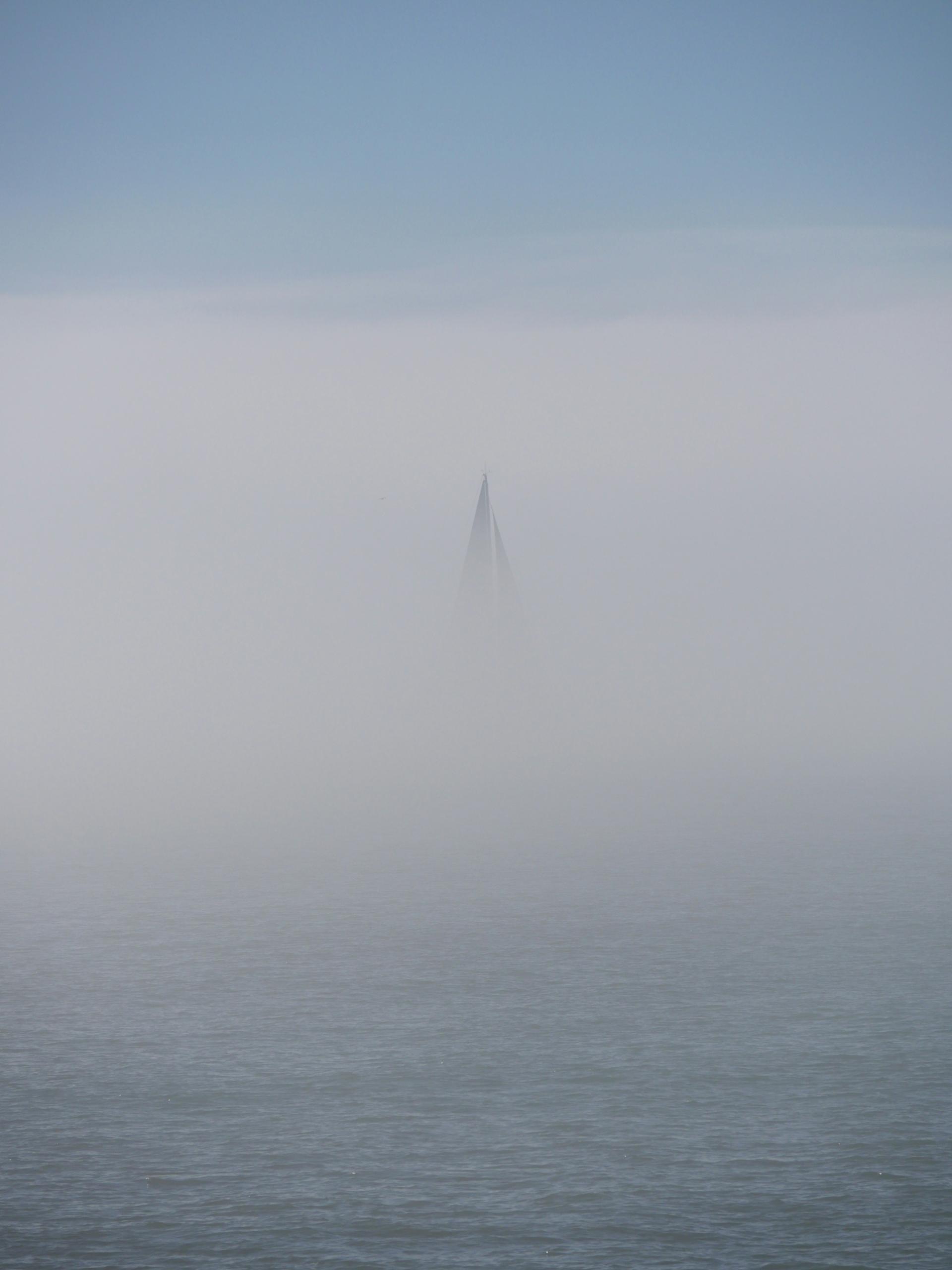 Segel im Nebel